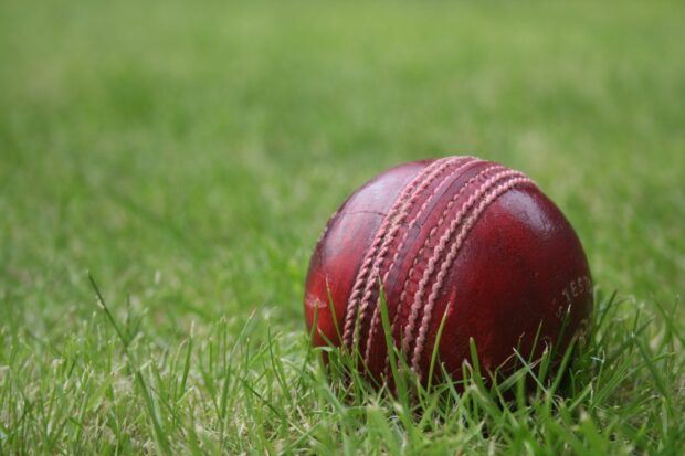 A close up of a cricket ball resting on green grass in a cricket field
