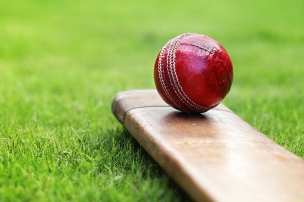 A cricket ball resting on a wooden bat on the green grass field