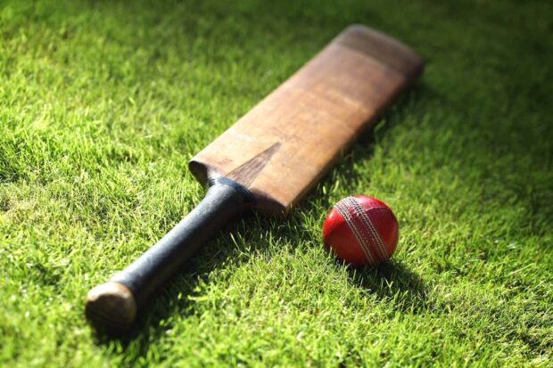 A wooden cricket bat and red cricket ball placed on green grass field