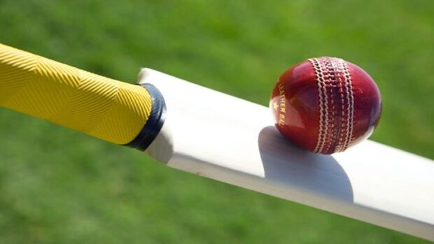 Close up of cricket bat with leather ball on green field
