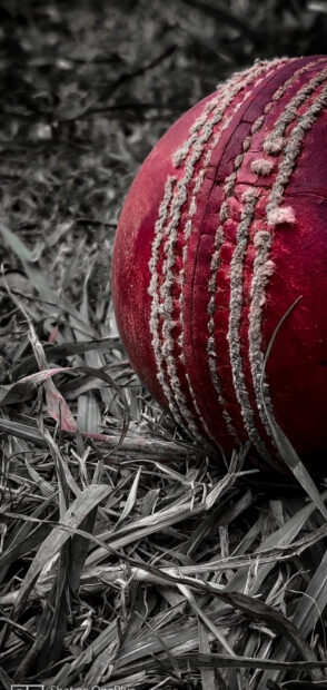 A close up of cricket ball lying on dry grass showing detailed stitch patterns