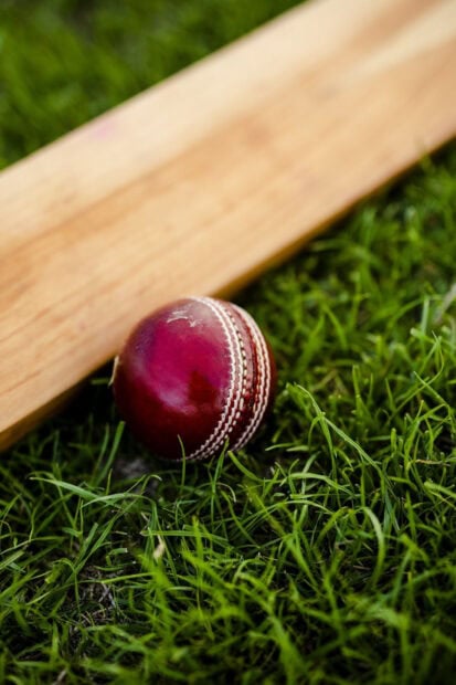 A close up of cricket ball and bat on green grass field