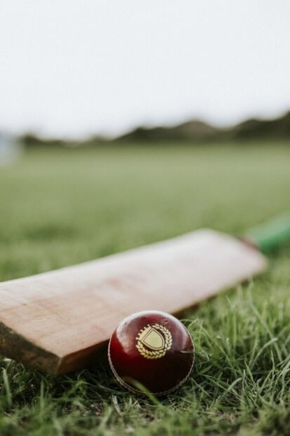 A cricket ball with an emblem lying on green grass near a wooden cricket bat