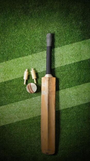 Wooden cricket bat and ball on green cricket field with wickets