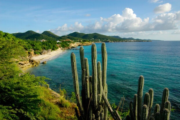Green hills and tall cactus plants along Curacao coastline with clear blue sea under sky clouds