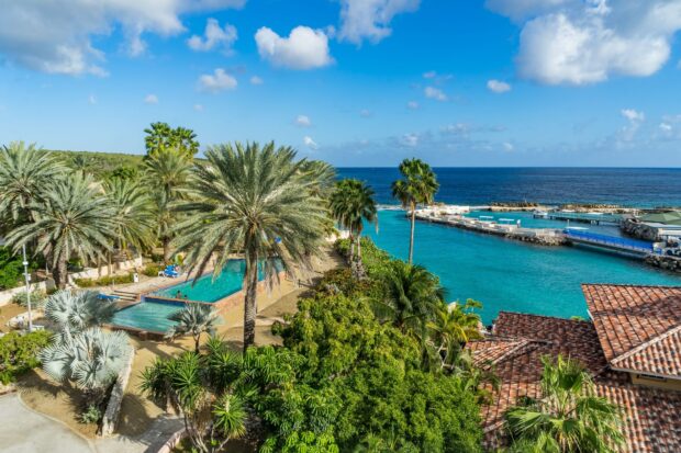 Tropical Curacao Island with palm trees and clear turquoise water in the Caribbean