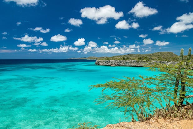 Turquoise sea and rocky shore of Curacao Island under a bright blue sky with scattered clouds