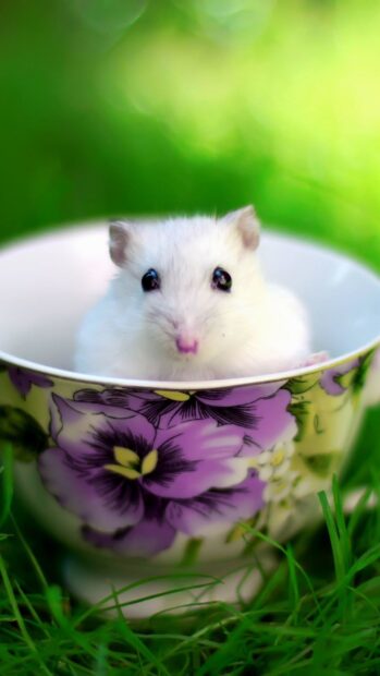 A white hamster sits inside a purple flower decorated cup surrounded by green grass, HD Mobile Wallpaper