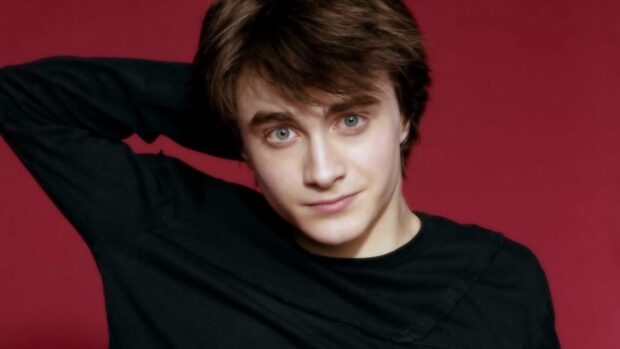 Daniel Radcliffe looks directly at the camera with a relaxed pose, HD Desktop Wallpaper