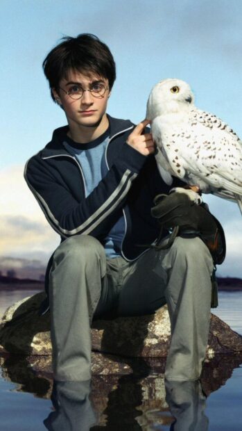 Daniel Radcliffe holding a white owl while sitting on a rock by water, HD Mobile Wallpaper
