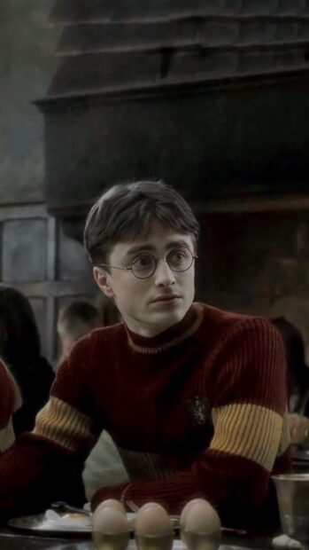 Daniel Radcliffe wearing glasses and a Gryffindor sweater in a Hogwarts dining hall, HD Phone Wallpaper