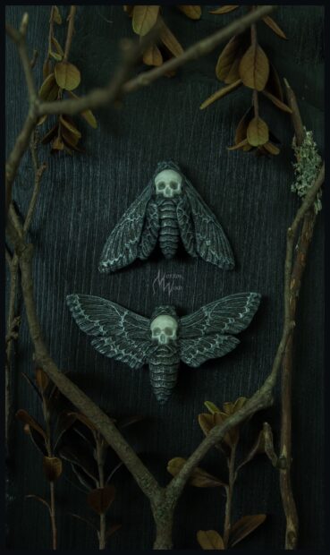 Two dark moths with skull patterns lie among dry branches, 2K Mobile Wallpaper