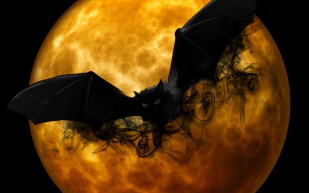 A dark bat silhouette flies against an orange full moon with smoky wings, 2K Desktop Wallpaper