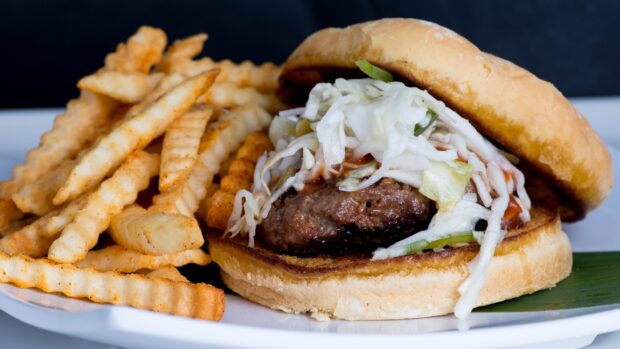 A close up of French fries next to a burger with coleslaw on a plate, HD Desktop Wallpaper