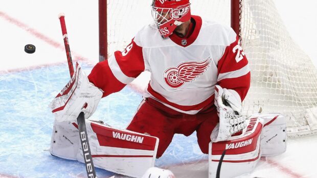 Detroit Red Wings goalie making a save during a hockey game on the ice rink