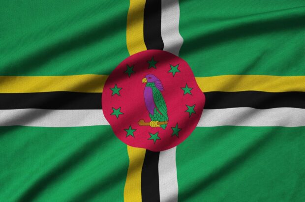 The image shows the Dominica Island flag with vibrant colors and clear details, 2K Desktop Wallpaper