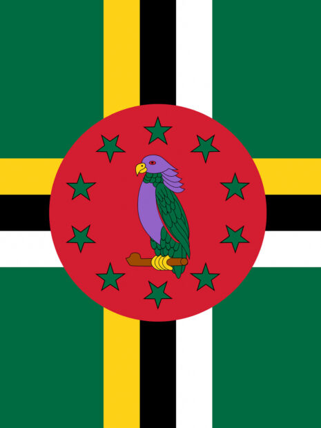The Dominica Island flag features a parrot in a red circle with stars on a green and cross background, HD Desktop Wallpaper