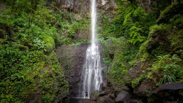 A person stands near a tall waterfall surrounded by green vegetation on Dominica Island, HD Desktop Wallpaper