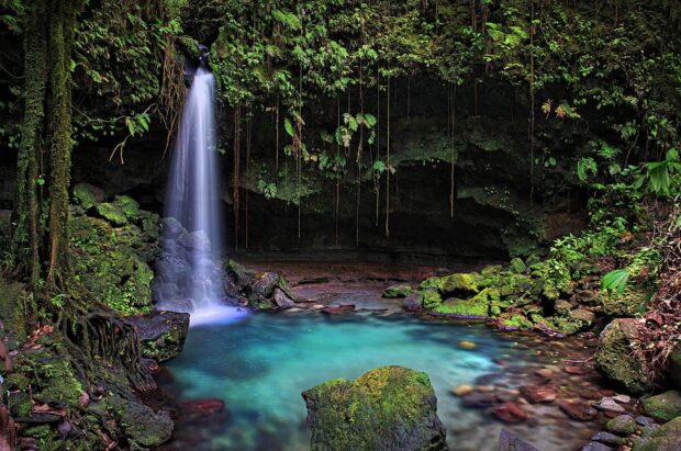 A serene waterfall flows into a clear blue pool surrounded by mossy rocks in Dominica Island, HD Desktop Wallpaper