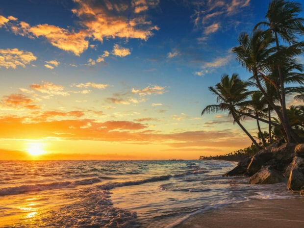 A beautiful sunset over the ocean beach in the Dominican Republic with palm trees and waves, HD Desktop Wallpaper