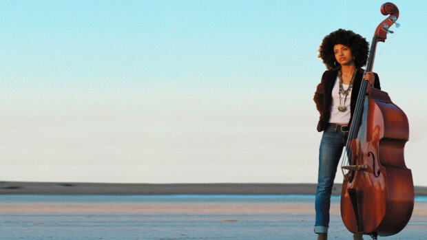 A woman stands with a double bass near the ocean during sunset, HD Desktop Wallpaper