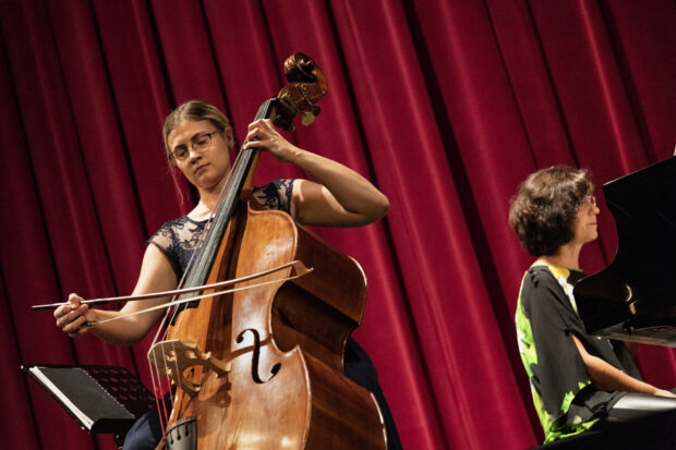 A woman focused on playing double bass during a concert performance, HD Desktop Wallpaper