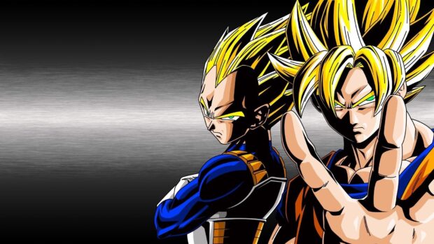 Goku and Vegeta stand back to back in Dragon Ball Z Abridged wallpapers, HD Desktop Wallpaper
