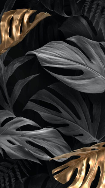 A close up view of gold leaf among dark gray tropical leaves in nature, HD Phone Wallpaper