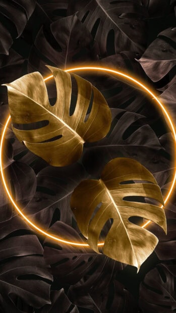 Two gold leaf plants are highlighted with a glowing circle against dark leaves in the background, HD Phone Wallpaper