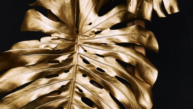 A close up of an elegant gold leaf showing detailed texture and natural patterns, 4K Desktop Wallpaper