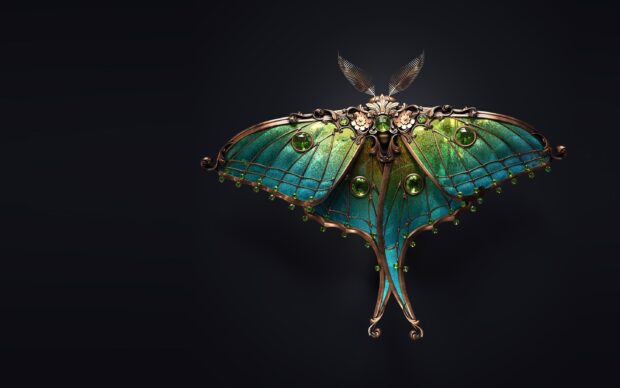 A green moth with intricate metallic design and gem decorations on a dark background, 2K Desktop Wallpaper