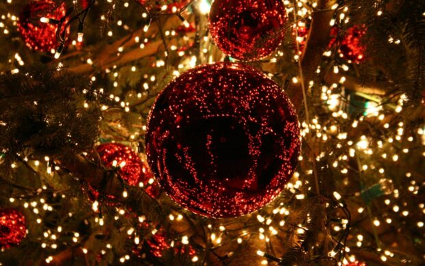 Red shiny bauble reflects fairy lights on a Christmas tree surrounded by glowing fairy lights