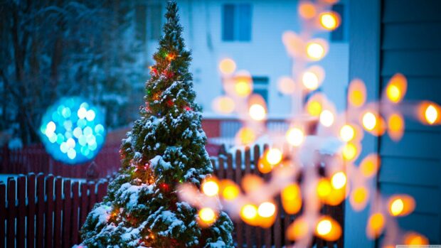 Snow covered tree decorated with colorful fairy lights in a winter garden