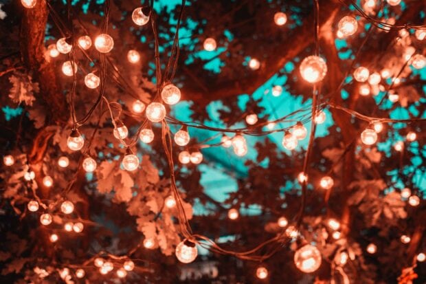 Warm fairy lights hanging among tree branches with a blue sky background
