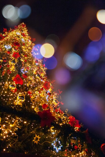 Bright fairy lights decorated with red flowers and star ornaments on a Christmas tree