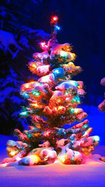 A snowy pine tree decorated with colorful fairy lights in a winter night scene
