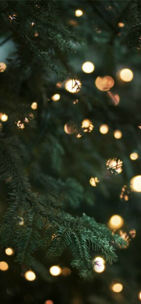 Green pine branches decorated with glowing fairy lights creating a warm festive atmosphere