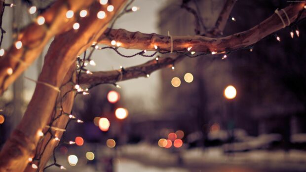 Warm fairy lights wrapped around tree branches on a blurred nighttime street scene