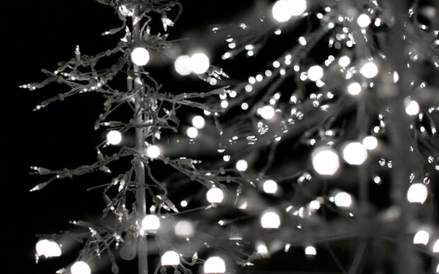 White fairy lights glowing softly on a dark background creating a magical atmosphere