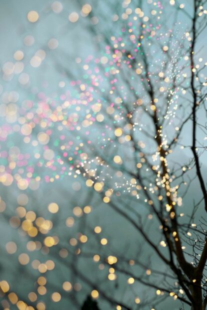 Bare tree branches decorated with colorful fairy lights glowing in the evening