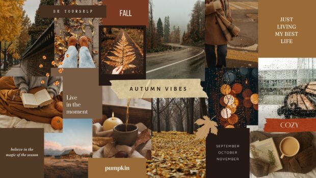 An aesthetic autumn vibes mood board to inspire you to live your best life during Fall 2025