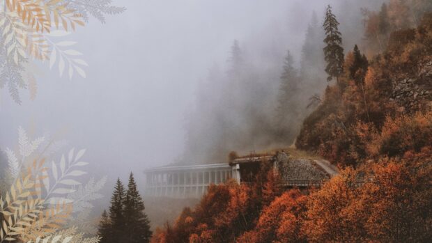 A moody and foggy mountain landscape with beautiful orange foliage during Fall 2025