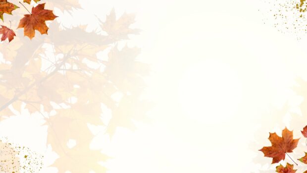 A clean white background with elegant maple leaves in the corners for a minimalist Fall