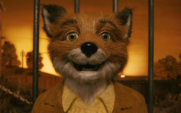 Fantastic Mr Fox character smiling in a close up shot with autumn background