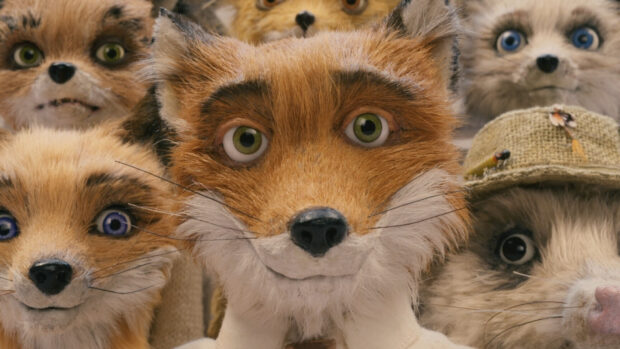 Fantastic Mr Fox character surrounded by other animals close up puppet detail