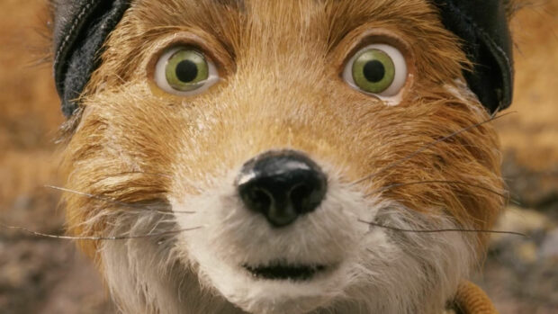 Close up of Fantastic Mr Fox character with green eyes and detailed fur