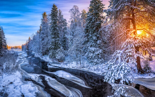 Frozen river flowing through snowy forest in Finland during winter sunrise