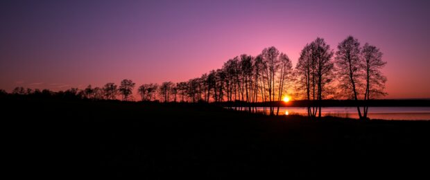A beautiful Finland sunset with silhouettes of trees along a lake shore