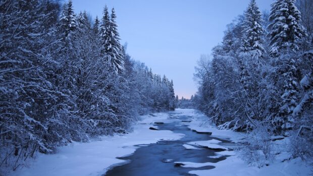 A serene winter landscape in Finland with snow covered trees and a partially frozen river surrounded by forest