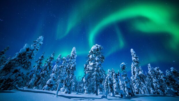 Snow covered trees under bright northern lights in Finland sky
